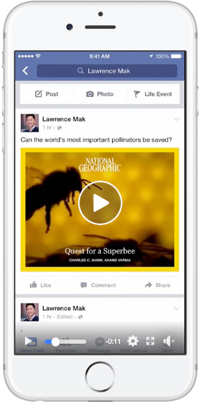 Facebook instant articles&nbsp;&mdash; single video